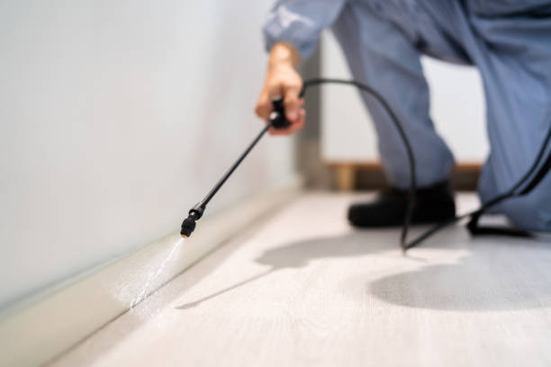 Certified termite inspector examining foundation in Hastings