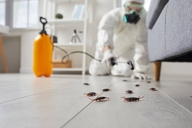 Post-Treatment Bed Bug Interceptor Monitoring in Hastings